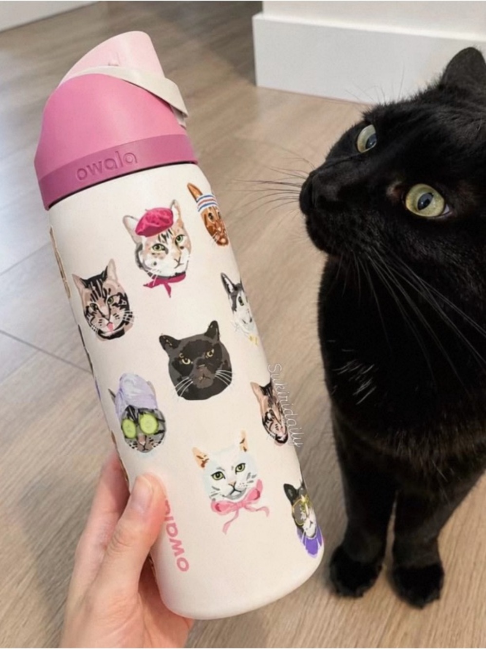 Owala FreeSip 32 oz UO Exclusive Cat Collage Limited Edition Water Bottle